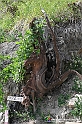 VBS_3079 - Mango (Cuneo) - Gnomovia